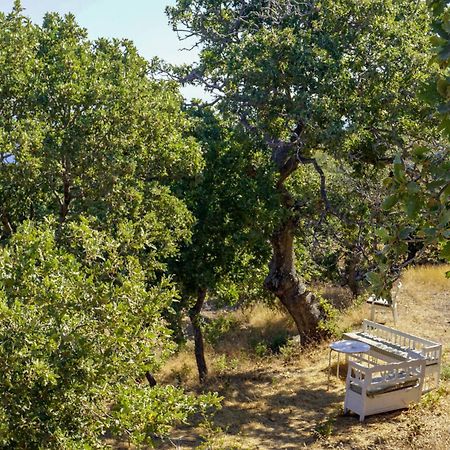 My Old Stone House In A 2 000 Sqm Private Garden With Fab Glamping Tent Mandraki  Екстер'єр фото