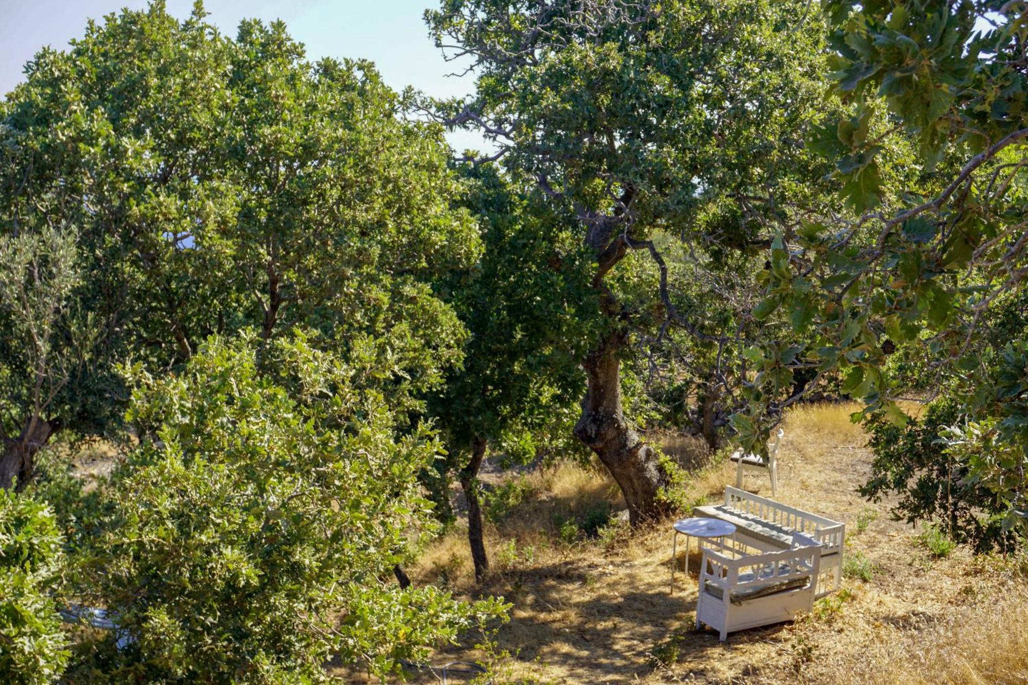 My Old Stone House In A 2 000 Sqm Private Garden With Fab Glamping Tent Mandraki  Екстер'єр фото